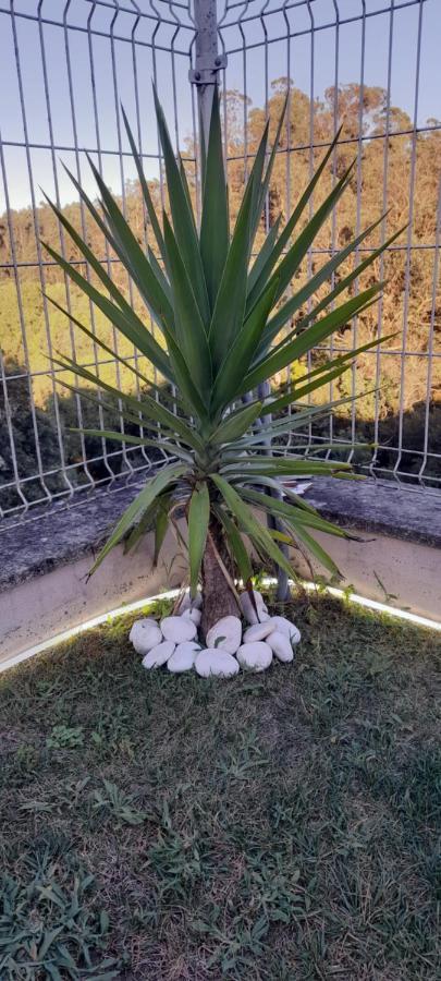 Casa Monte Beira Rio Touguinho エクステリア 写真